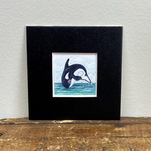 Orca Schwertwal Kunst, 5,1 cm x 5,1 cm mattierter Reproduktionsdruck von einer original Aquarell-Illustration, ungerahmt, verrückt, Meeresbewohner, Wal-Liebhaber