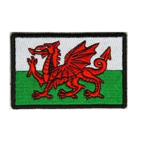 May include: A red dragon on a white and green flag. The flag is embroidered and has a black border.