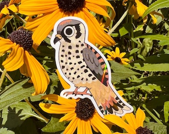 Pegatina holográfica de cernícalo americano, regalo para amantes de las aves y la naturaleza (7,6 cm)