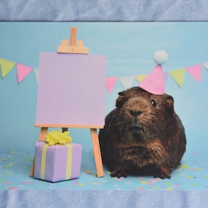 5 cartes postales d'anniversaire de cochon d'Inde