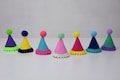 Guinea pig party hat pompom product logo