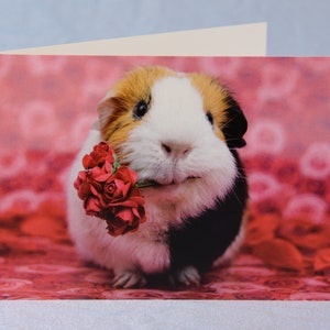 2er-Set Meerschweinchen Valentines | Ich liebe dich Karten