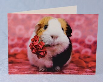 Set van twee cavia Valentijnsdag | Ik hou van je kaarten