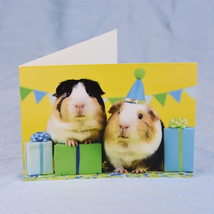 Set of two guinea pig birthday cards