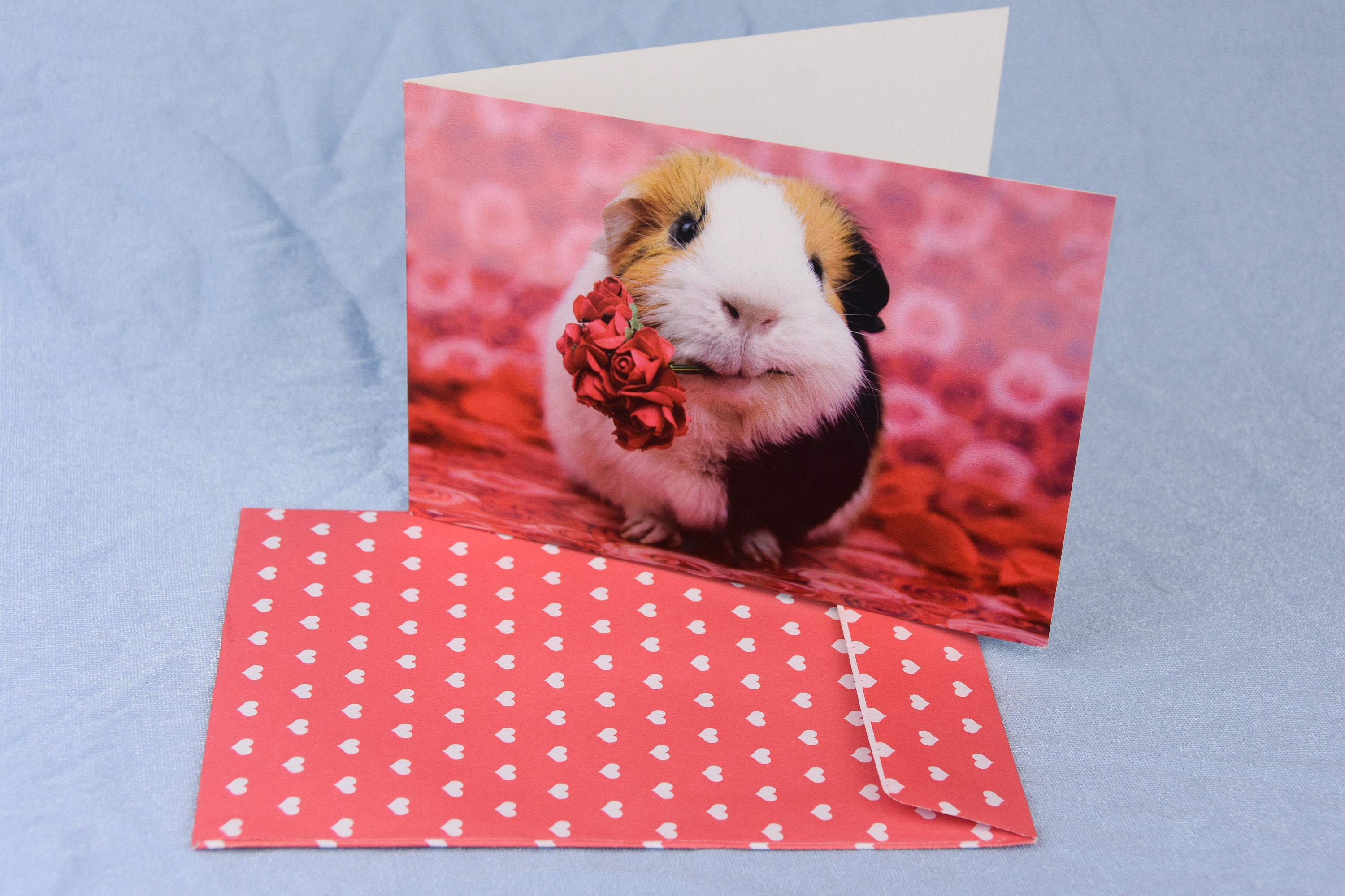 Guinea pig Valentines I love you card - Etsy Polska