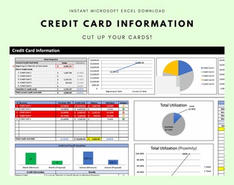 Credit Card Info - Personal Budget Software Template Microsoft Excel (Instant Download) - The Best Budget