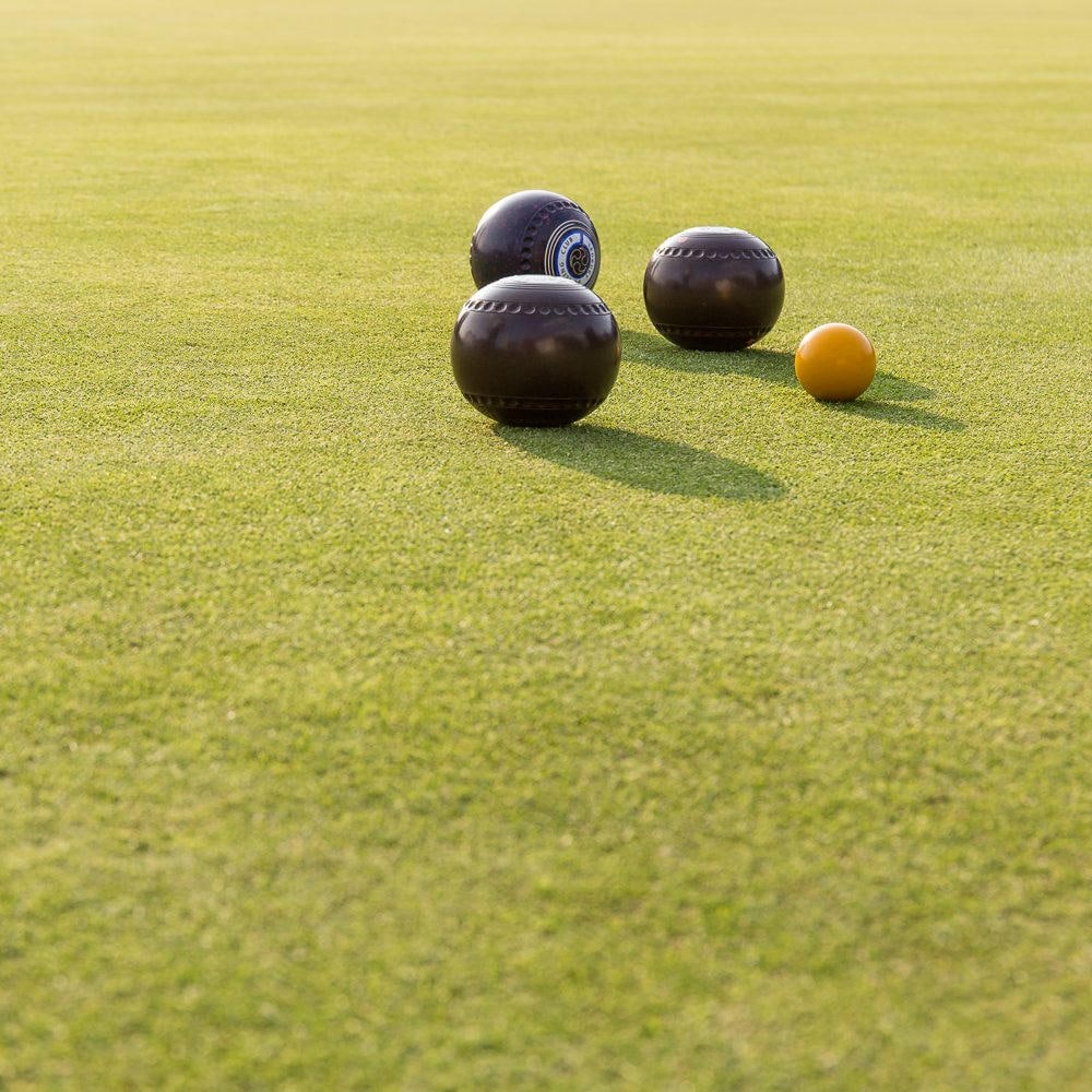 Lawn Bowling Balls on the Green Etsy