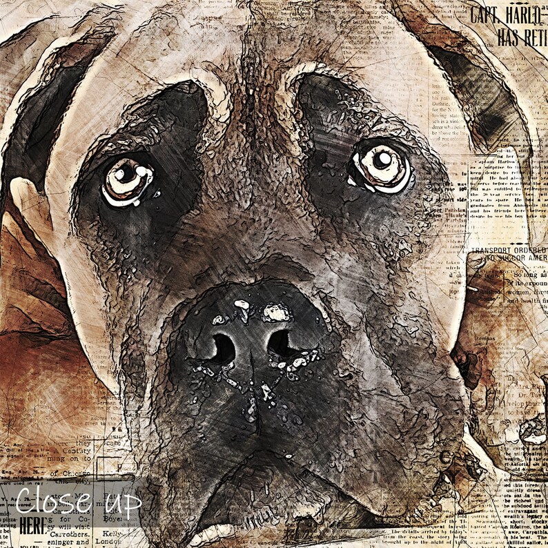 Newspaper Cane Corso Art Print Cane Corso Art Cane Corso Dog Etsy