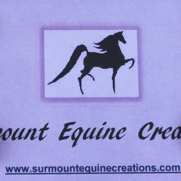 Horse Show Back Number Magnets - Clear EIMASS Crystal Acrylic Gem