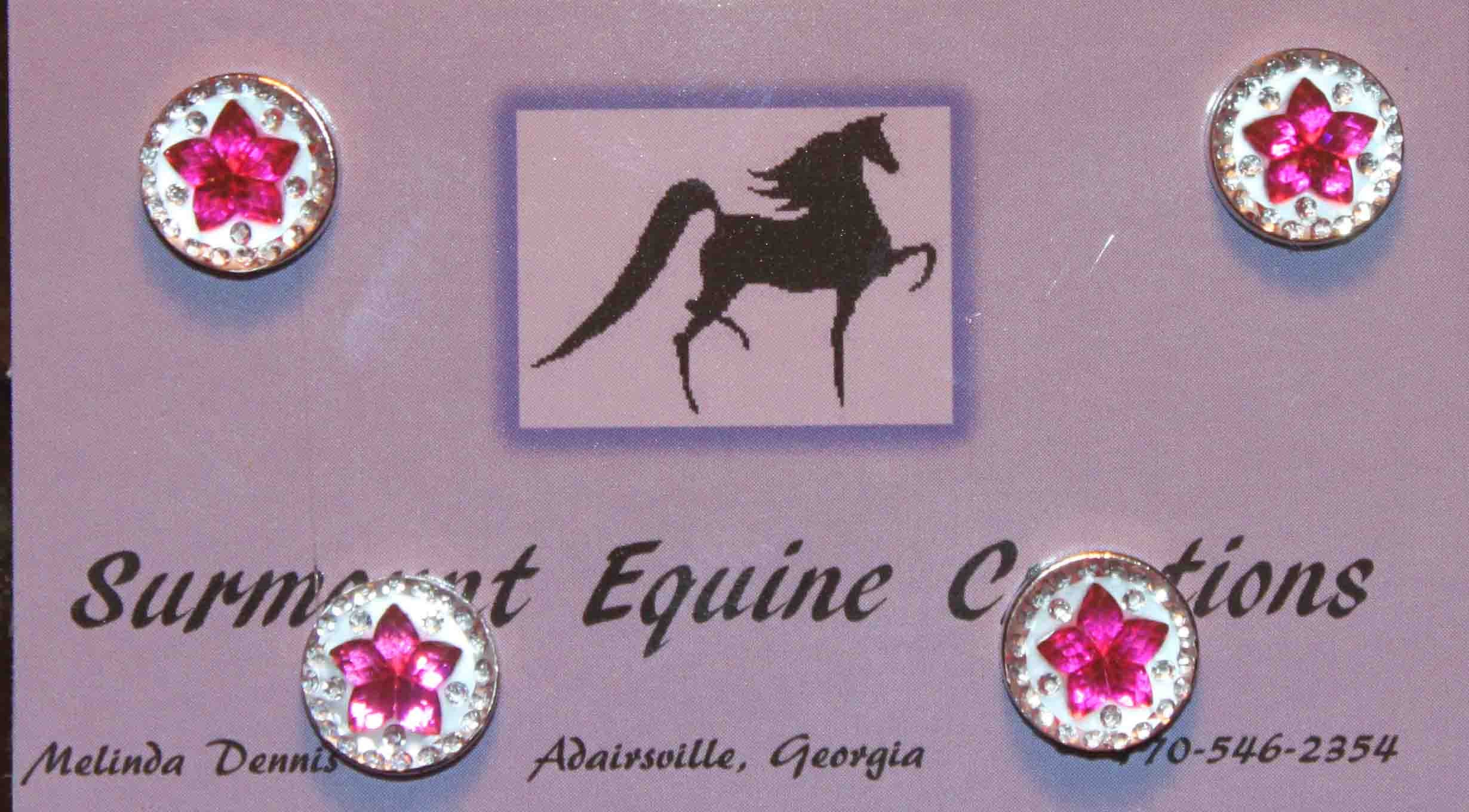 Horse Show Back Number Star Acrylic Gem Black Etsy