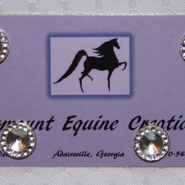 Horse Show Back Number Magnets - Acrylic Gem w/ Clear Rhinestones - Clear, Black, Blue, Purple or Red