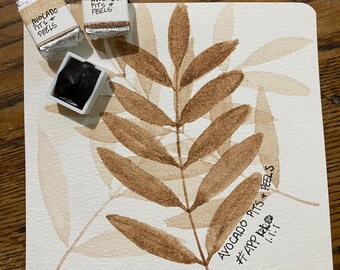 Handmade watercolor paint - avocado pits and peels - half pan