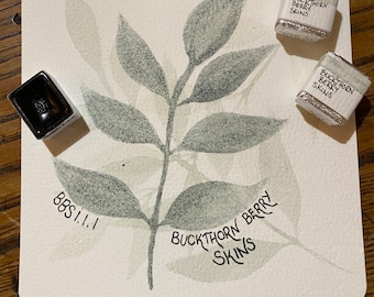 Handmade watercolor paint - Buckthorn Berry Skin - half pan