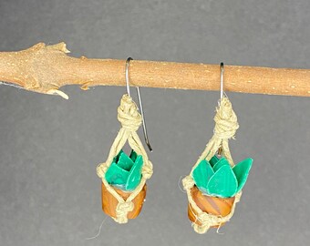 Succulent plant in variegated planter earrings. Pothos. Sansevieria