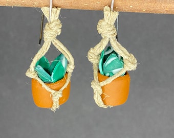 House plant earrings. Pothos hoya sansevaria