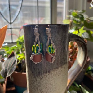 Sansevieria Laurentii earrings, mother in law’s tongue, snake plant