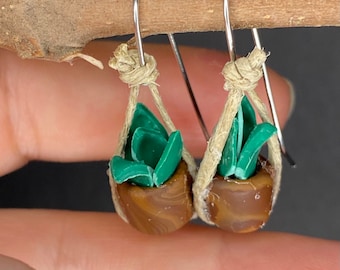 Plant earrings in variegated pot. Pothos. Sansevieria. Succulent. Philodendron