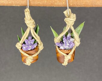 Purple plant earrings. Lavender. Succulent   Variegated pot.