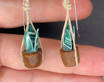 Variegated Sansevieria houseplant earrings in variegated pot. Snake plant