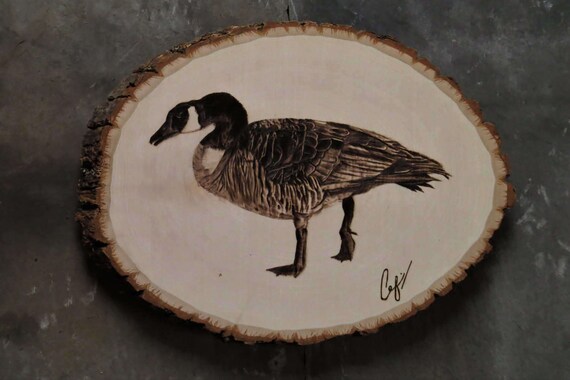 wood burning hissing canada