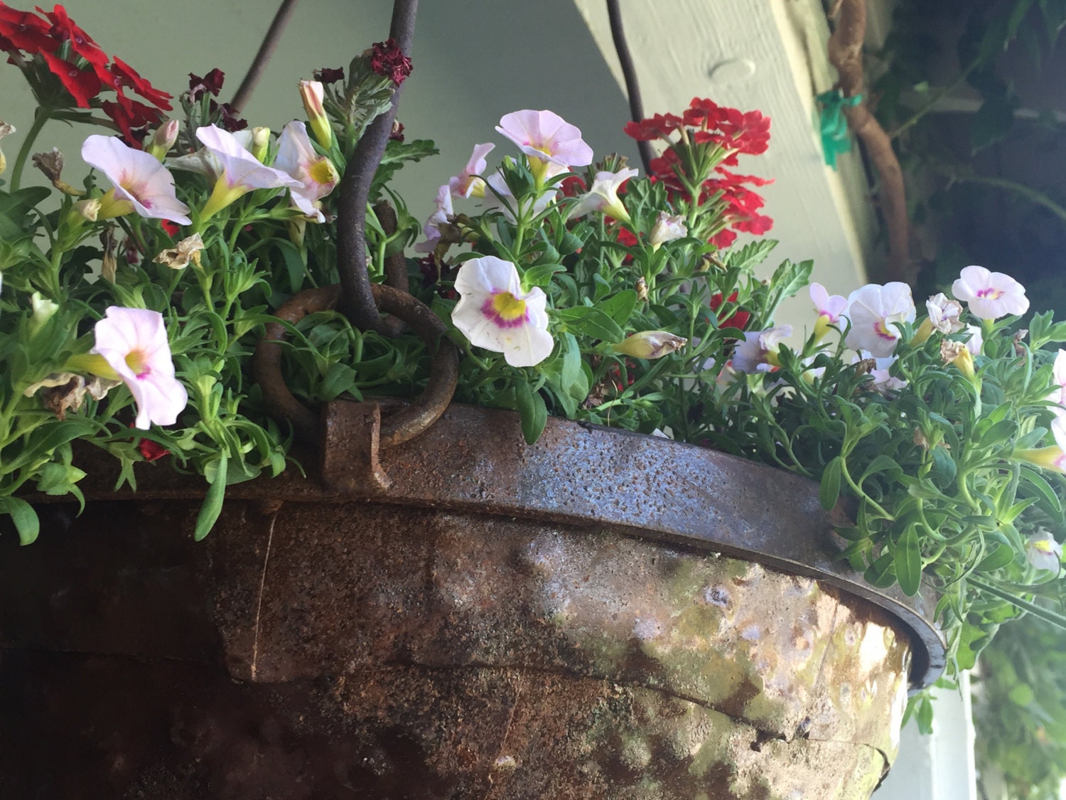 Solano Flower Pot Etsy