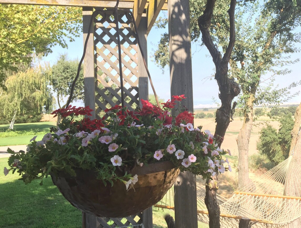 Solano Flower Pot Etsy