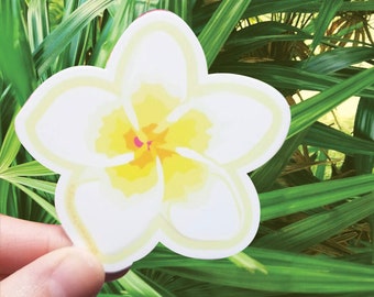 Pegatina de flor de plumeria: vinilo duradero con protección UV