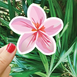 Pink Tropical Flower