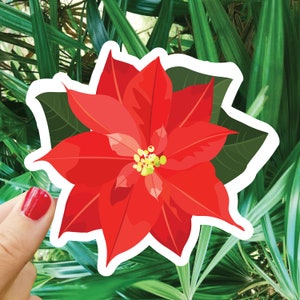 Poinsettia Flower Sticker