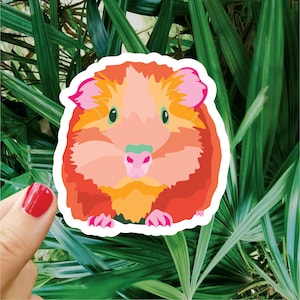 Puede incluir: Una pegatina colorida de un conejillo de indias con pelaje naranja, rosa y verde. El conejillo de indias est&aacute; mirando directamente a la c&aacute;mara con una expresi&oacute;n amigable.