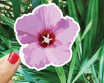 Paarse hibiscusbloem