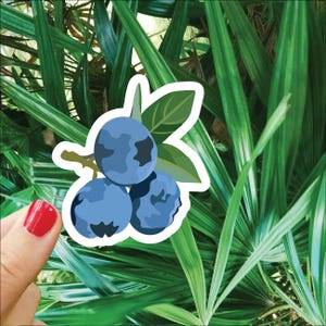 Blueberry Sticker