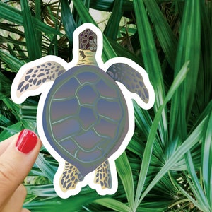 Large Sea Turtle Sticker