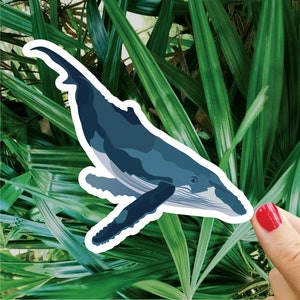 Humpback Whale Sticker