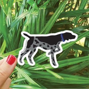 German Pointer Dog Sticker