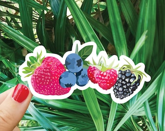 Könnte beinhalten: Ein Aufkleber mit einer Erdbeere, Blaubeeren, Himbeeren und einer Brombeere. Der Aufkleber hat einen weißen Rand und ist vor einem Hintergrund aus grünen Blättern platziert. Die Erdbeere ist leuchtend rot und die Blaubeeren sind tiefblau.