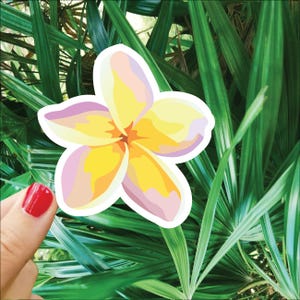 Nouveau Sticker Fleur de Plumeria