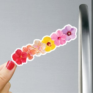 Rainbow Hibiscus Magnet