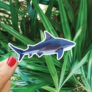 Shark Surf Sticker, Waterproof Sticker