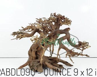 bonsai driftwood etsy