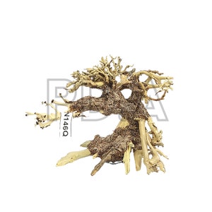 May include: A light brown driftwood bonsai tree with a natural, weathered look. The tree has a thick trunk and many branches, creating a unique and interesting shape. The driftwood is a natural material, so each piece is unique.