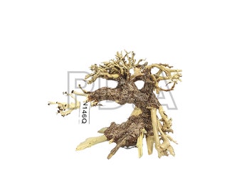 SPECIAL DISCOUNT!!! Nano Aquarium Driftwood Bonsai Tree &quot;QUINCE&quot; Decoration for Terrarium Fish Shrimp Betta Freshwater Live Plants Moss