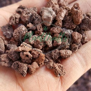 Aquarium lavasteen: natuurlijk terrariumsubstraat, leefgebied voor tropische vissen