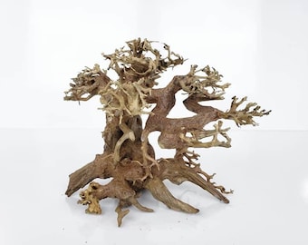 SPECIAL DISCOUNT!!! Small Aquarium Driftwood Bonsai Tree &quot;Quince&quot; Decoration for Terrarium Fish Shrimp Betta Freshwater Live Plants Moss