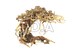 Large Aquarium Driftwood Bonsai Tree 'TREE' Decoration for Terrarium Tropical Fish Shrimp Betta Habitat Decor Freshwater Live Plants Moss 