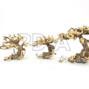 SPECIAL DISCOUNT!!! Nano Aquarium Driftwood Bonsai Tree "TREE" Decoration for Terrarium Fish Shrimp Betta Freshwater Live Plants Moss