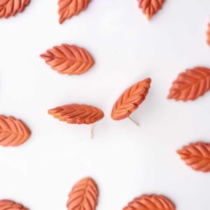May include: A set of terracotta leaf-shaped earrings. The earrings are made of clay and have a rustic, earthy look.
