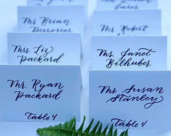 Custom I Calligraphy I Place Cards I Wedding I Shower I Party I Event