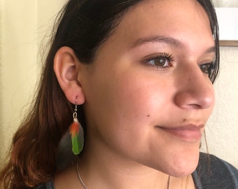 Birds of the Amazon Feather Earrings, Feather Earrings