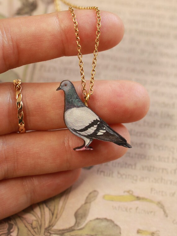 Pigeon jewellery shop
